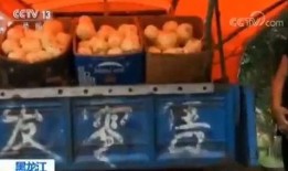 快穿嘎嘎吃瓜免费阅读,嘎嘎吃瓜，免费阅读之旅