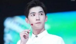 杨洋家世爆料视频大全集,视频大全集深度解析